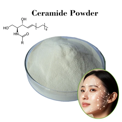 Polvere di ceramide